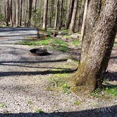 Review photo of Cosby Campground — Great Smoky Mountains National Park by Jean C., May 1, 2019