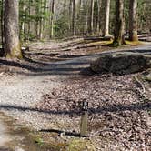 Review photo of Cosby Campground — Great Smoky Mountains National Park by Jean C., May 1, 2019