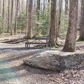 Review photo of Cosby Campground — Great Smoky Mountains National Park by Jean C., May 1, 2019