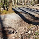 Review photo of Cosby Campground — Great Smoky Mountains National Park by Jean C., May 1, 2019