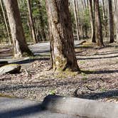 Review photo of Cosby Campground — Great Smoky Mountains National Park by Jean C., May 1, 2019
