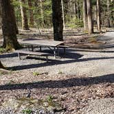 Review photo of Cosby Campground — Great Smoky Mountains National Park by Jean C., May 1, 2019