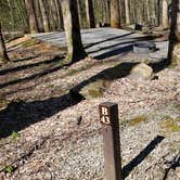 Review photo of Cosby Campground — Great Smoky Mountains National Park by Jean C., May 1, 2019