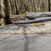 Review photo of Cosby Campground — Great Smoky Mountains National Park by Jean C., May 1, 2019