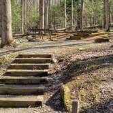 Review photo of Cosby Campground — Great Smoky Mountains National Park by Jean C., May 1, 2019