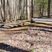 Review photo of Cosby Campground — Great Smoky Mountains National Park by Jean C., May 1, 2019