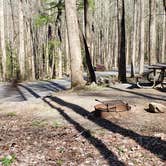 Review photo of Cosby Campground — Great Smoky Mountains National Park by Jean C., May 1, 2019