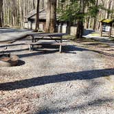 Review photo of Cosby Campground — Great Smoky Mountains National Park by Jean C., May 1, 2019