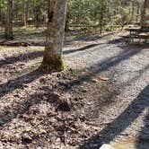 Review photo of Cosby Campground — Great Smoky Mountains National Park by Jean C., May 1, 2019