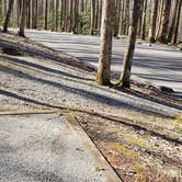 Review photo of Cosby Campground — Great Smoky Mountains National Park by Jean C., May 1, 2019
