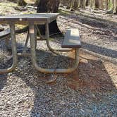 Review photo of Cosby Campground — Great Smoky Mountains National Park by Jean C., May 1, 2019