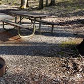 Review photo of Cosby Campground — Great Smoky Mountains National Park by Jean C., May 1, 2019