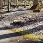 Review photo of Cosby Campground — Great Smoky Mountains National Park by Jean C., May 1, 2019