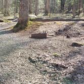 Review photo of Cosby Campground — Great Smoky Mountains National Park by Jean C., May 1, 2019