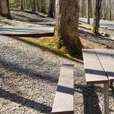 Review photo of Cosby Campground — Great Smoky Mountains National Park by Jean C., May 1, 2019