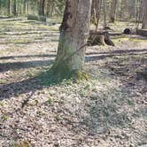Review photo of Cosby Campground — Great Smoky Mountains National Park by Jean C., May 1, 2019