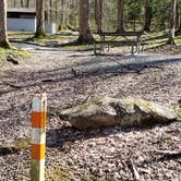 Review photo of Cosby Campground — Great Smoky Mountains National Park by Jean C., May 1, 2019