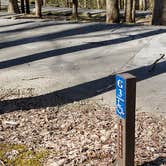 Review photo of Cosby Campground — Great Smoky Mountains National Park by Jean C., May 1, 2019