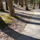 Review photo of Cosby Campground — Great Smoky Mountains National Park by Jean C., May 1, 2019