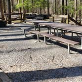 Review photo of Cosby Campground — Great Smoky Mountains National Park by Jean C., May 1, 2019