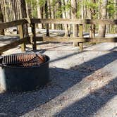 Review photo of Cosby Campground — Great Smoky Mountains National Park by Jean C., May 1, 2019