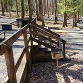 Review photo of Cosby Campground — Great Smoky Mountains National Park by Jean C., May 1, 2019