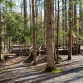 Review photo of Cosby Campground — Great Smoky Mountains National Park by Jean C., May 1, 2019