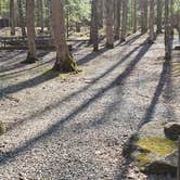 Review photo of Cosby Campground — Great Smoky Mountains National Park by Jean C., May 1, 2019