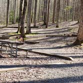 Review photo of Cosby Campground — Great Smoky Mountains National Park by Jean C., May 1, 2019