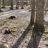 Review photo of Cosby Campground — Great Smoky Mountains National Park by Jean C., May 1, 2019
