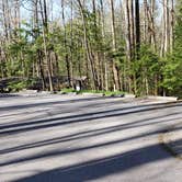 Review photo of Cosby Campground — Great Smoky Mountains National Park by Jean C., May 1, 2019