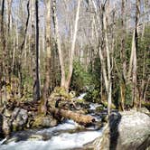 Review photo of Cosby Campground — Great Smoky Mountains National Park by Jean C., May 1, 2019
