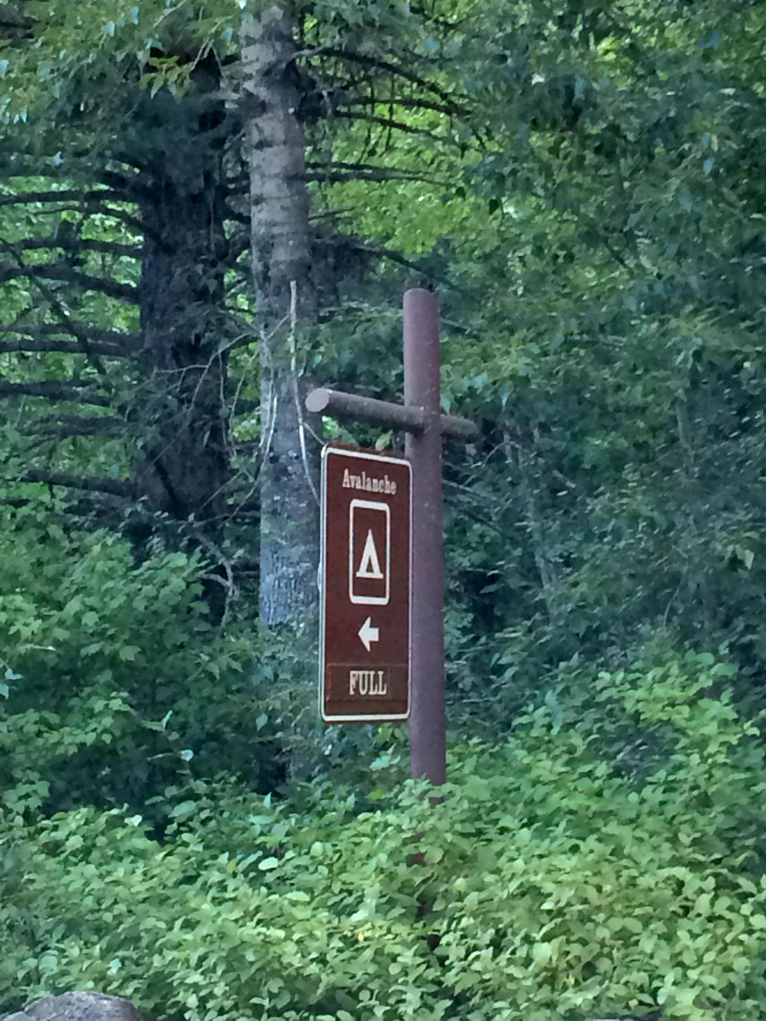Camper submitted image from Avalanche Campground — Glacier National Park - 5