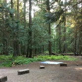 Review photo of Avalanche Campground — Glacier National Park by Brian C., April 24, 2019