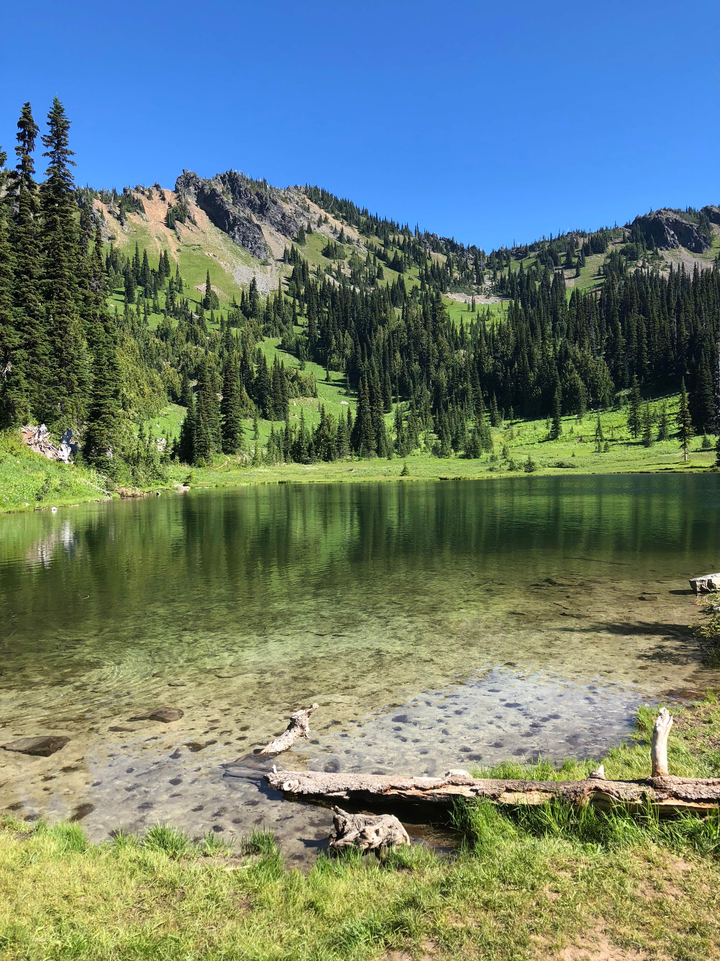 Camper-submitted photo at Lakewood Campgrounds near Swanton, VT
