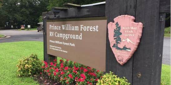 Camper submitted image from Prince William Forest RV Campground — Prince William Forest Park