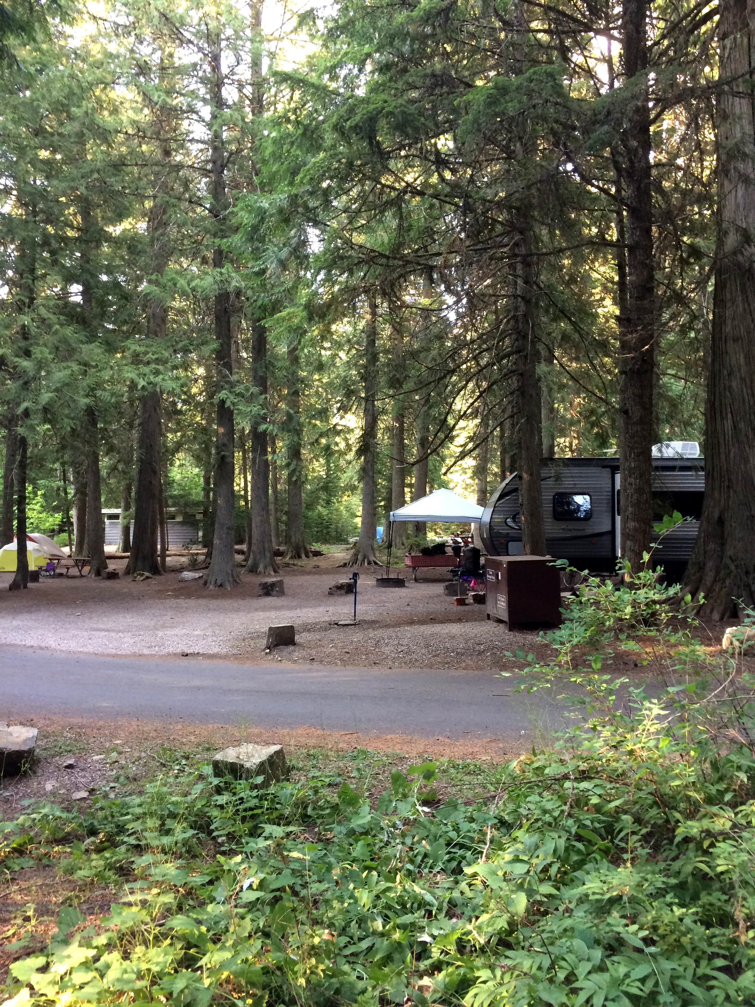 Brian C.'s photo at Avalanche Campground — Glacier National Park near Glacier National Park