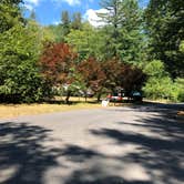 Review photo of Sunset Falls Campground by Corinna B., April 5, 2019