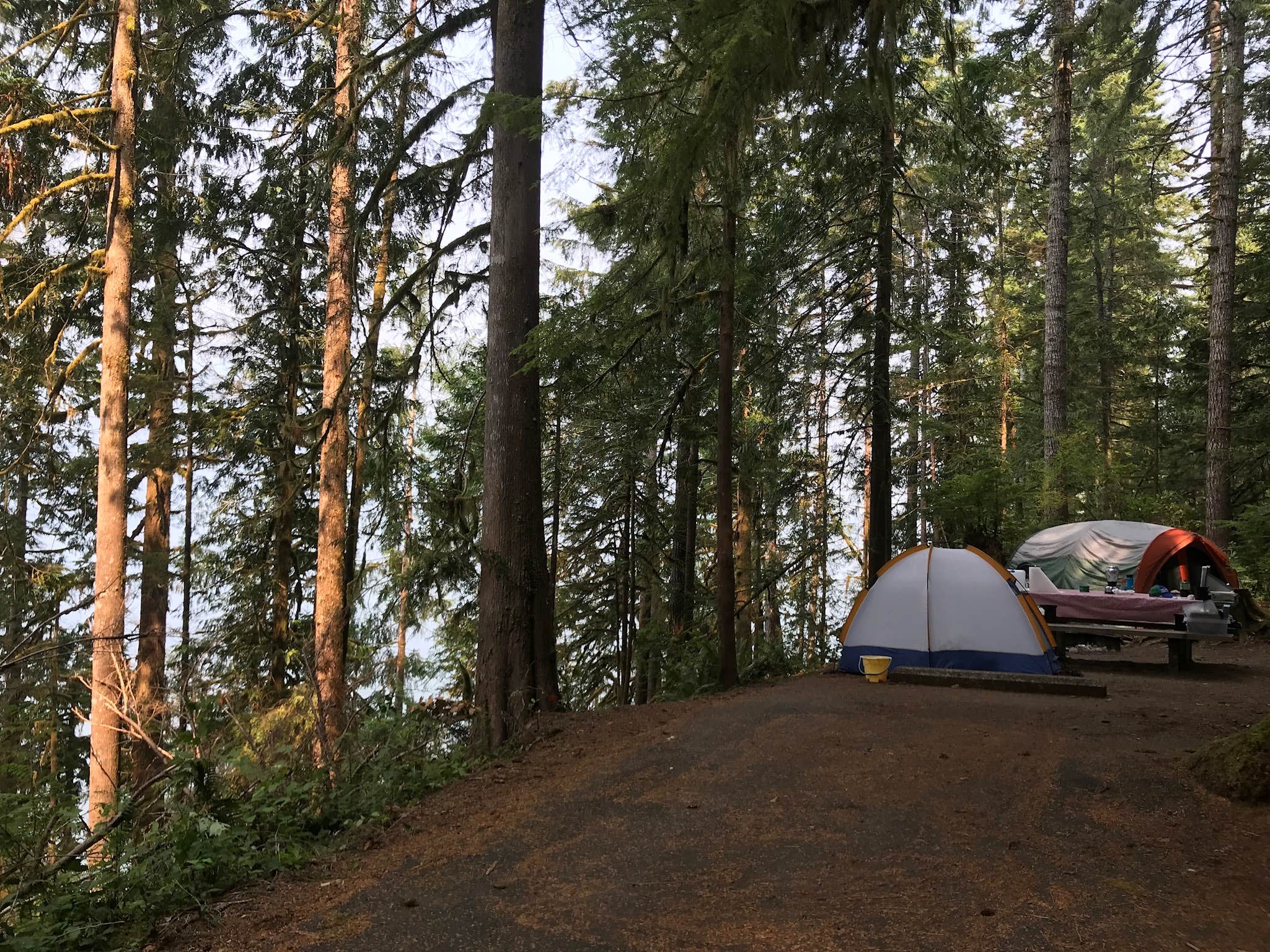 Stephanie Z.'s photo at Willaby Campground near Quinault, WA