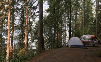 Stephanie Z.'s photo at Willaby Campground near Olympic National Forest
