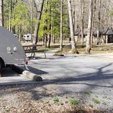 Review photo of Cades Cove Campground by Jean C., May 1, 2019
