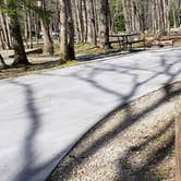 Review photo of Cades Cove Campground by Jean C., May 1, 2019
