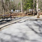 Review photo of Cades Cove Campground by Jean C., May 1, 2019