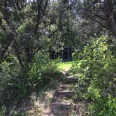 Review photo of Blanco State Park Campground by Shelly S., August 29, 2016