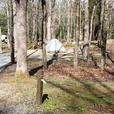 Review photo of Cades Cove Campground by Jean C., May 1, 2019
