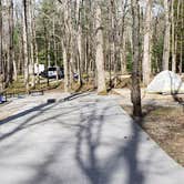 Review photo of Cades Cove Campground by Jean C., May 1, 2019