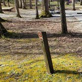 Review photo of Cades Cove Campground by Jean C., May 1, 2019