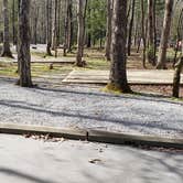 Review photo of Cades Cove Campground by Jean C., May 1, 2019