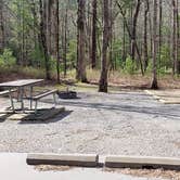 Review photo of Cades Cove Campground by Jean C., May 1, 2019