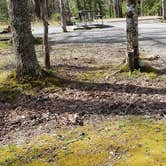 Review photo of Cades Cove Campground by Jean C., May 1, 2019